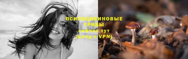 ПСИЛОЦИБИНОВЫЕ ГРИБЫ Волосово