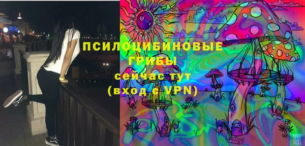 шишки Володарск