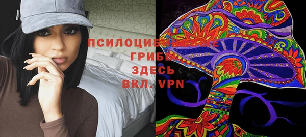 стафф Волоколамск