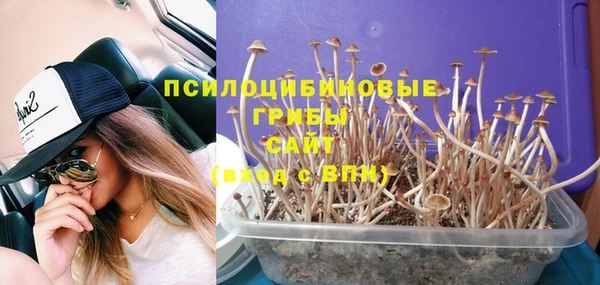 ПСИЛОЦИБИНОВЫЕ ГРИБЫ Волосово