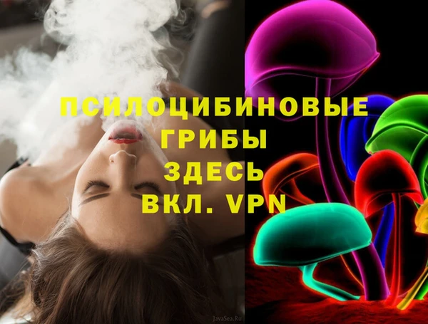 шишки Володарск