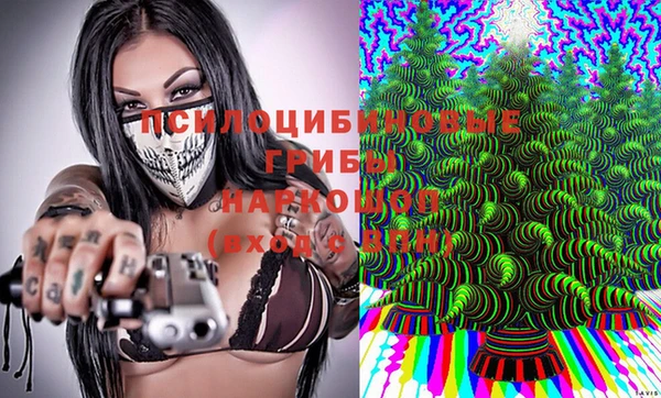 шишки Володарск