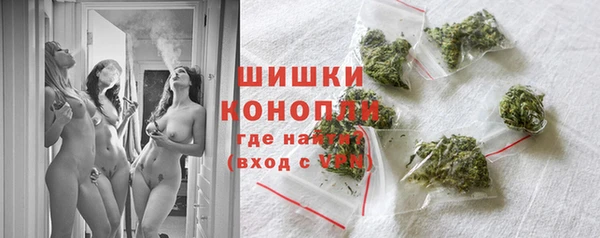 шишки Володарск