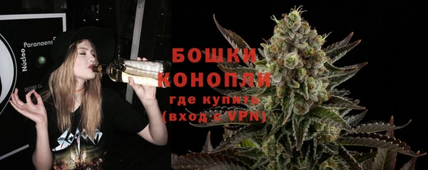 шишки Володарск