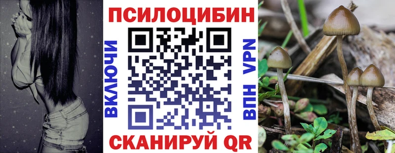 Галлюциногенные грибы прущие грибы  Ейск 